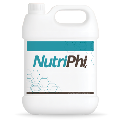 NutriPhi
